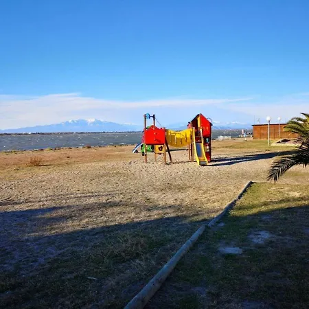 T2 Avec Terrasse Et Piscine A Port Barcares - Fr-1-195-13